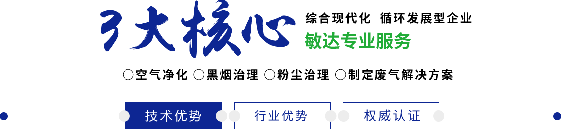 外国人大鸡巴操逼视频敏达环保科技（嘉兴）有限公司